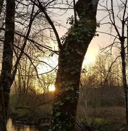 Ici Cool Une Riviere