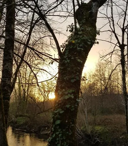 Ici Cool Une Riviere