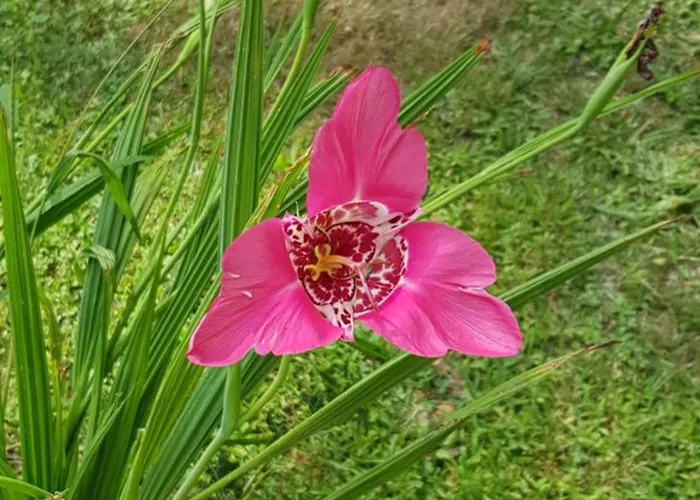 Ici Cool Une Riviere Saint-Pierre-de-Côle