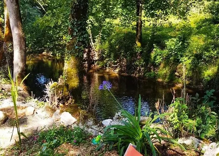 Ici Cool Une Riviere Pensión